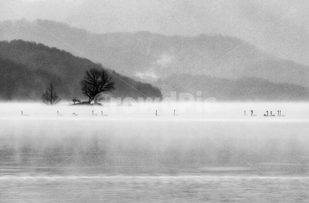 자연,nature,outdoors,옥외,호수,자연,풍경,nature,landscape,흑백,모노톤,monochrome,black and white
