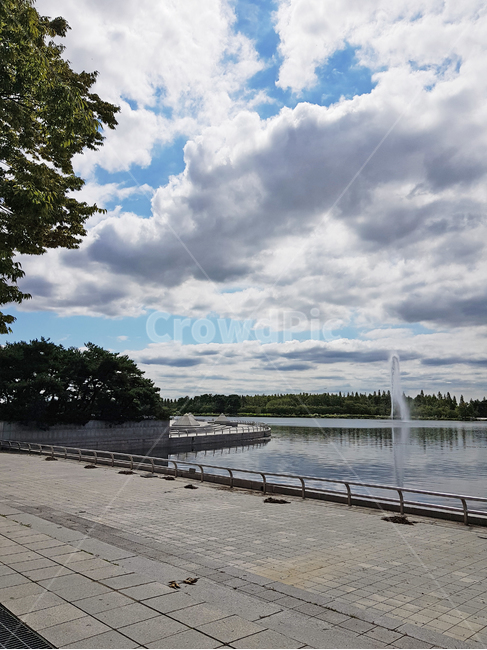 공원,하늘,구름,호수,풍경,lake,tree,맑은날,파란하늘,park,landscape,자연,nature,일산,호수공원,water