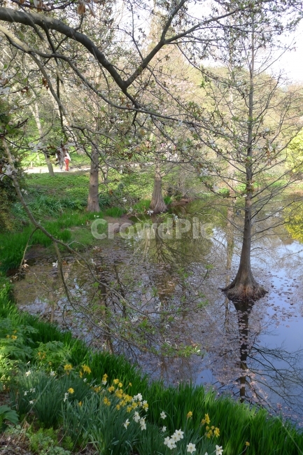 호수,반영,비침,데칼코마니,호숫가,호수위,자연,풍경,nature,landscape,outdoors,옥외,land,땅,water,물