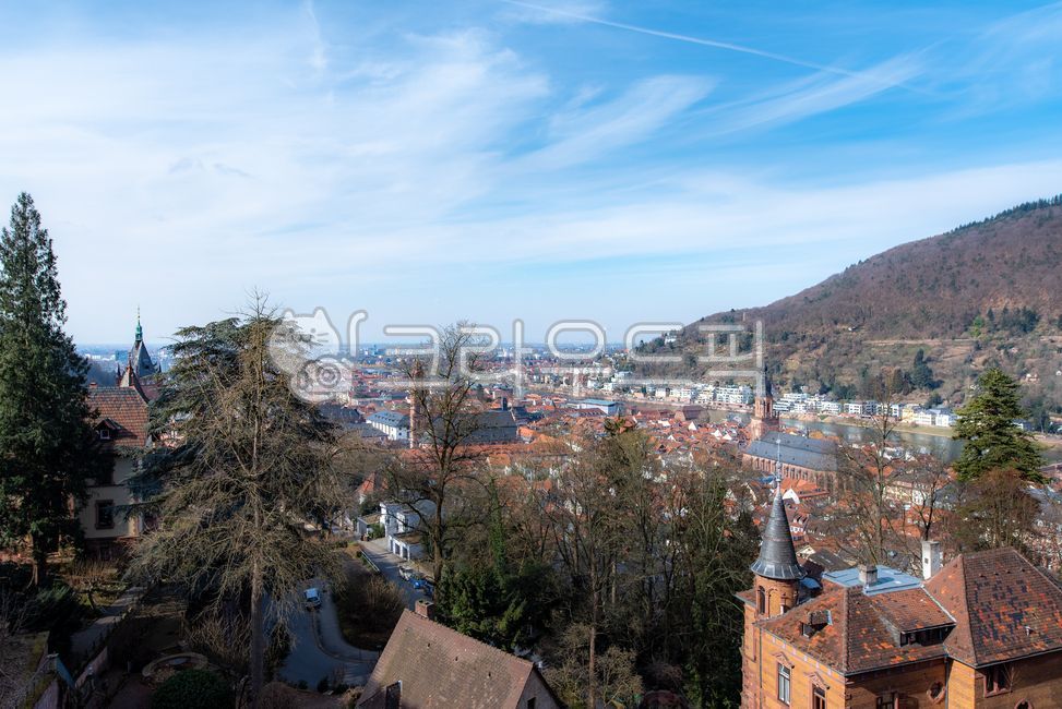 유럽,europe,독일,germany,하이델베르그,heidelberg,중세도시,medievalcity,도시풍경,cityscape,빌딩,building,건축물,architecture,강,river,자연경관,naturallandscape,집,houses,교육도시,educationcity,roof,지붕,nature,자연,outdoors,옥외