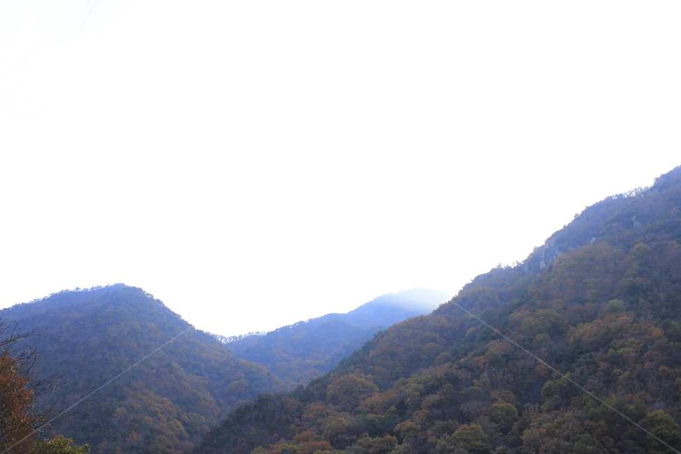 가을,낙옆,단풍,다채로운,산맥,산,등산