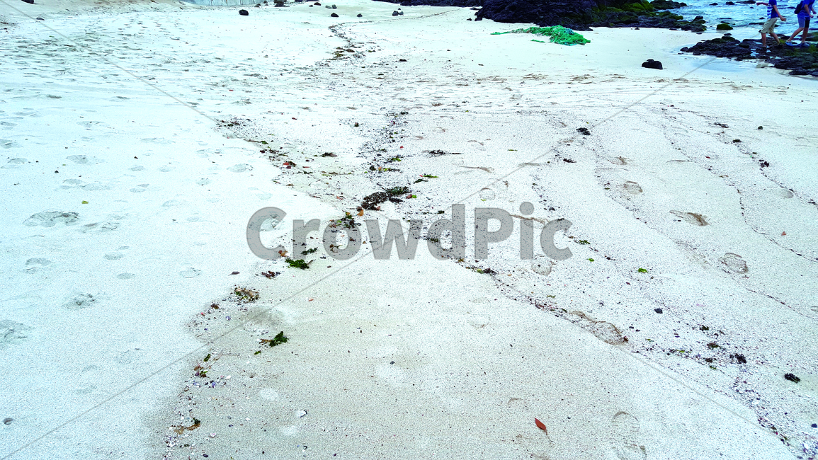 제주도,해변,모래사장,jeju,jejuisland,sand,beach,sandybeach