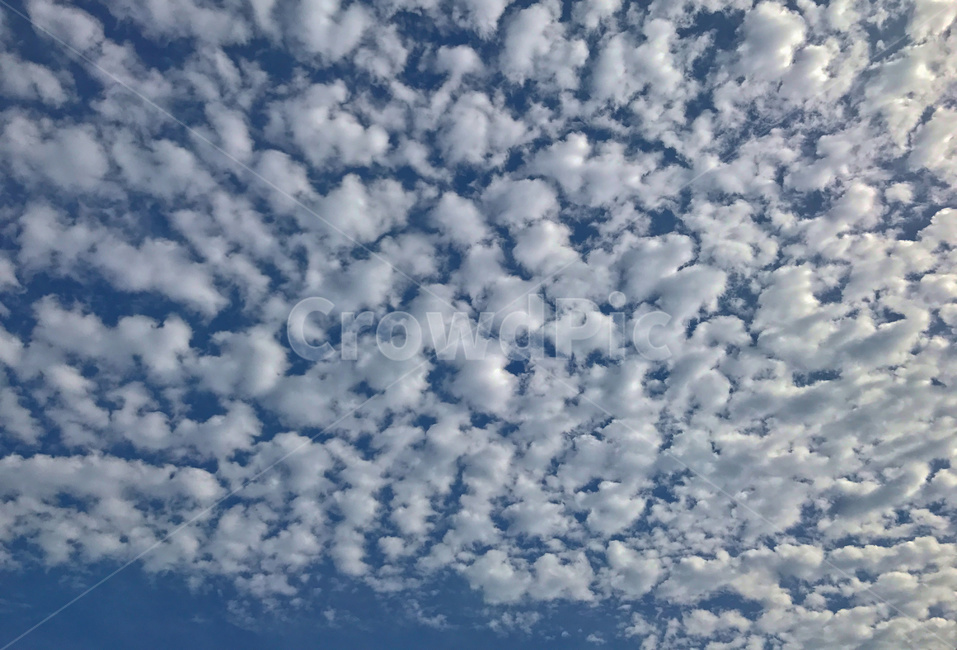 자연,옥외,하늘,구름,야외,날씨,맑음,낮,질감,atmosphere,background,beautiful,beauty,blue,bright,clear,cloud,cloudscape,cloudy,color,day,environment,nature,outdoor,sky,sunny,weather,white