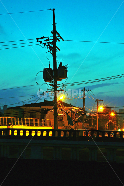 가로등,새벽,전봇대,조명,동네,제주도,삼도동,여명,야경,밤,풍경,nightscape,night,landscape