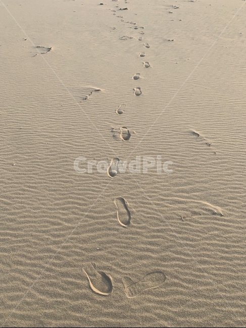 발자국,모래사장,백사장,바닷가,걸음걸이,과거,회상,걸어온길,뒷모습,해변,바다,beach,sea