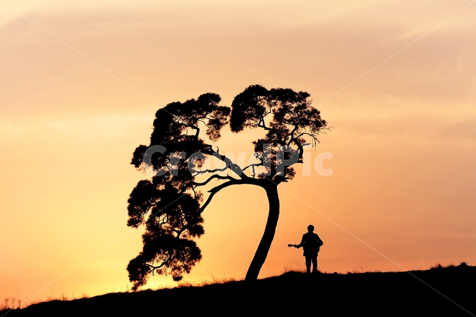 감성,나무,노을,저녁노을,특이한나무,실루엣,그림자,silhouette,shadow,인물실루엣,사람실루엣,character silhouette,human silhouette,nature,자연,outdoors,옥외,person,사람,human,인간,grassland,목초지,field,들,savanna,대초원