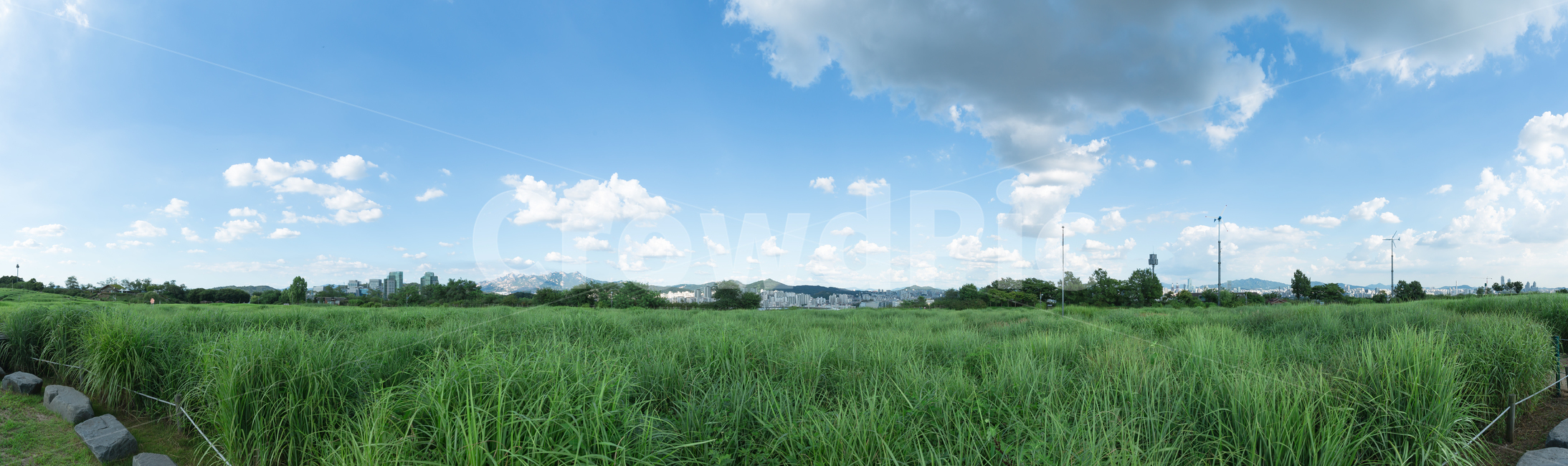 하늘,구름,자연,풍경,하늘공원,서울,공원,자연,풍경,nature,landscape,field,들,outdoors,옥외,grassland,목초지