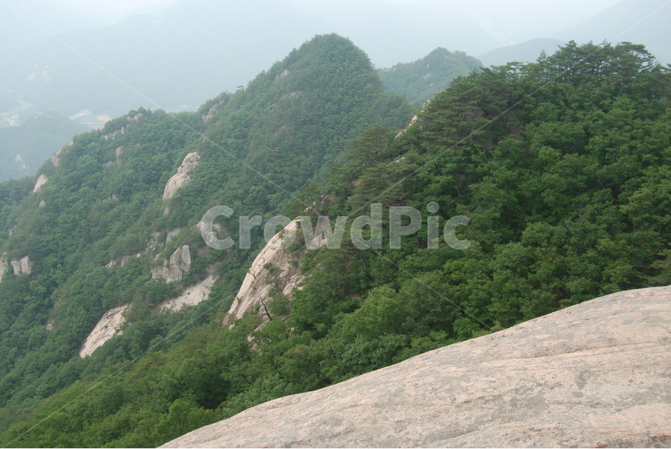 도락산,국립공원,탐방로,여름,자연,휴양림,자연,풍경,nature,landscape,slope,경사,outdoors,옥외