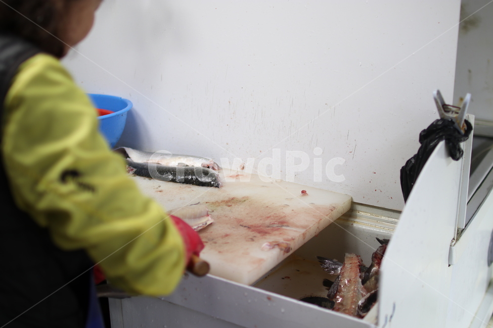 수산물시장,수산시장,사시미,회,회센터,회타운,회사시미,횟집,회센타,물고기,생선,어시장,어류,수산물,패류,해조류,선어,활어,냉동어,건어,물고기판매장