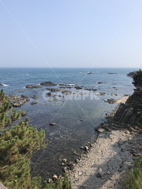sea,바다,nature,경주바다,경주,돌멩이,나무,tree,돌,동해바다,gyeongju,pebbles,stone,자연,물,water,ocean,한국,자연,풍경,nature,landscape,shoreline,해안선,promontory,곶,대양,outdoors,옥외