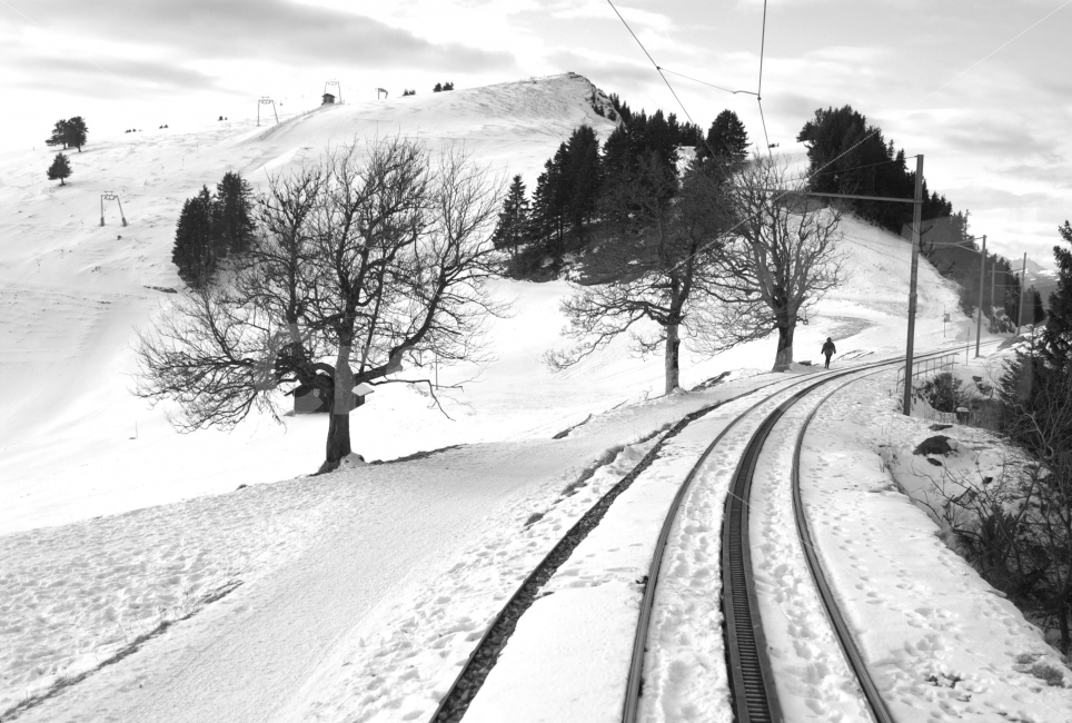 눈,겨울,철로,산,눈길,자연,풍경,nature,landscape,겨울,계절,winter,season,교통,교통수단,traffic,transportation,흑백,모노톤,monochrome,black and white,railway,철도,train track,기찻길,rail,레일,tree,나무,plant,식물