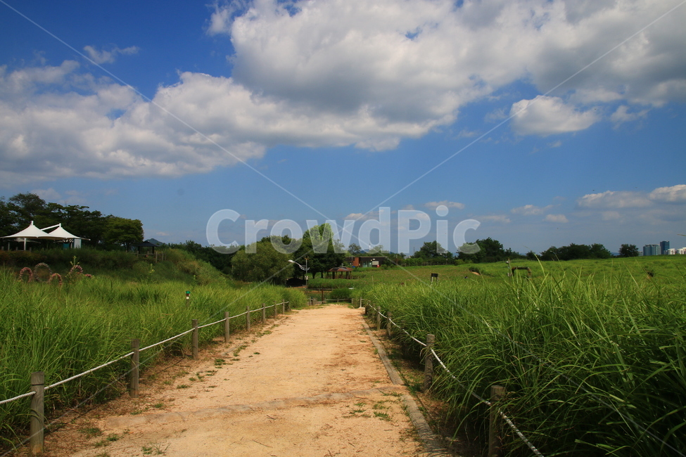풍경,자연풍경,자연,여름,하늘,서울,하늘공원,난지도,자연,풍경,nature,landscape,outdoors,옥외