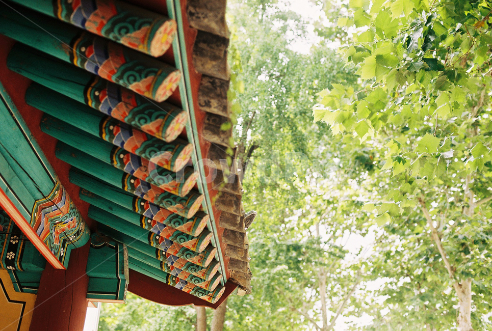 처마,한옥,기와,처마끝,오방색,한국전통,한국문화,korean traditional,korean culture,건축물,건물외관,exterior,building,structure,architecture,construction