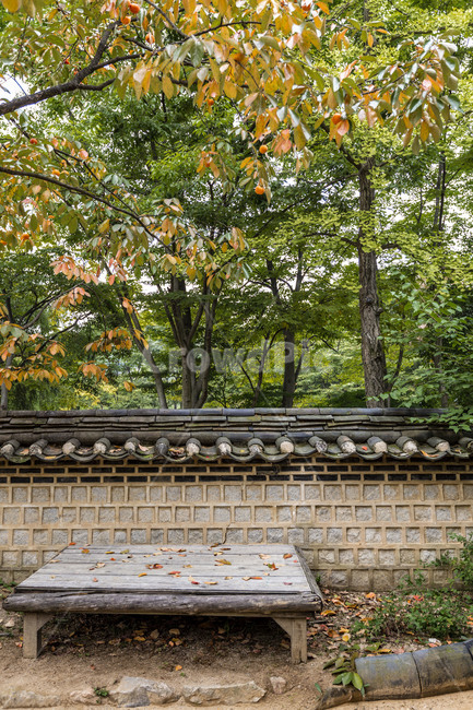 전통담,담벼락,만추,낙엽,단풍,기와담장