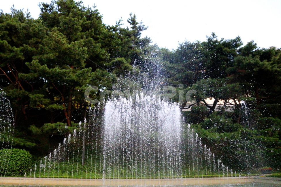 분수,분수대,물,공원,예술의전당,나무,소나무,자연,풍경,nature,landscape,water