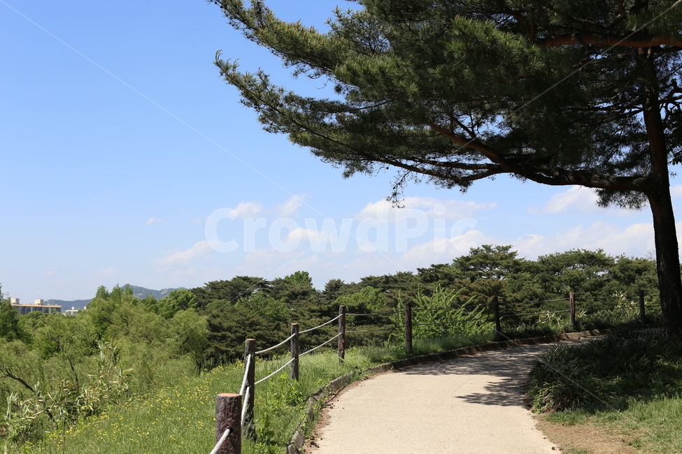 길,녹색,의자,자연,그늘,휴식