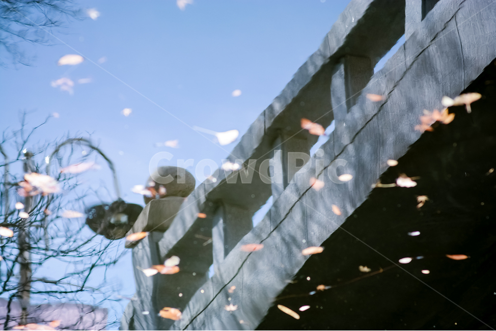 반사,반영,여유,겨울,낙엽,쓸쓸함,가을,계절,fall,autumn,season,자연,풍경,nature,landscape