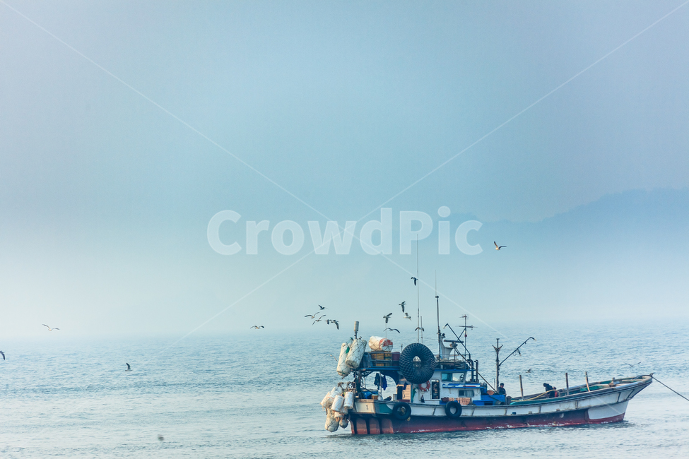 갈매기,바다,한국,배,하늘,산업,industry,industrial,어업,fishery,fishing industry