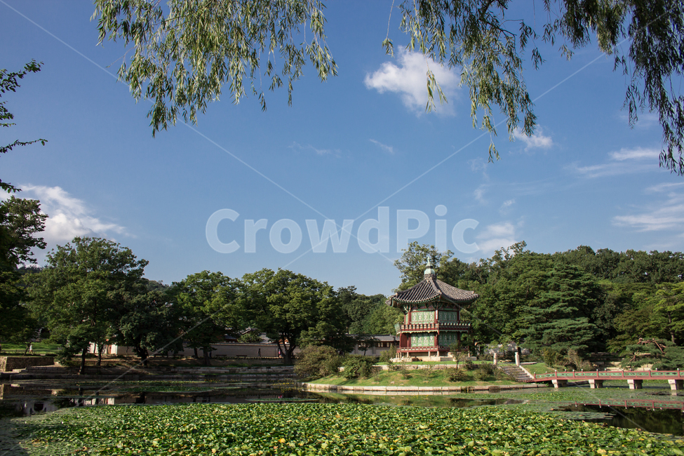 경복궁,향원정,건축물,건물,architecture,한국전통,한국문화,korean traditional,korean culture,건축물,건물외관,exterior,building,structure,architecture,construction