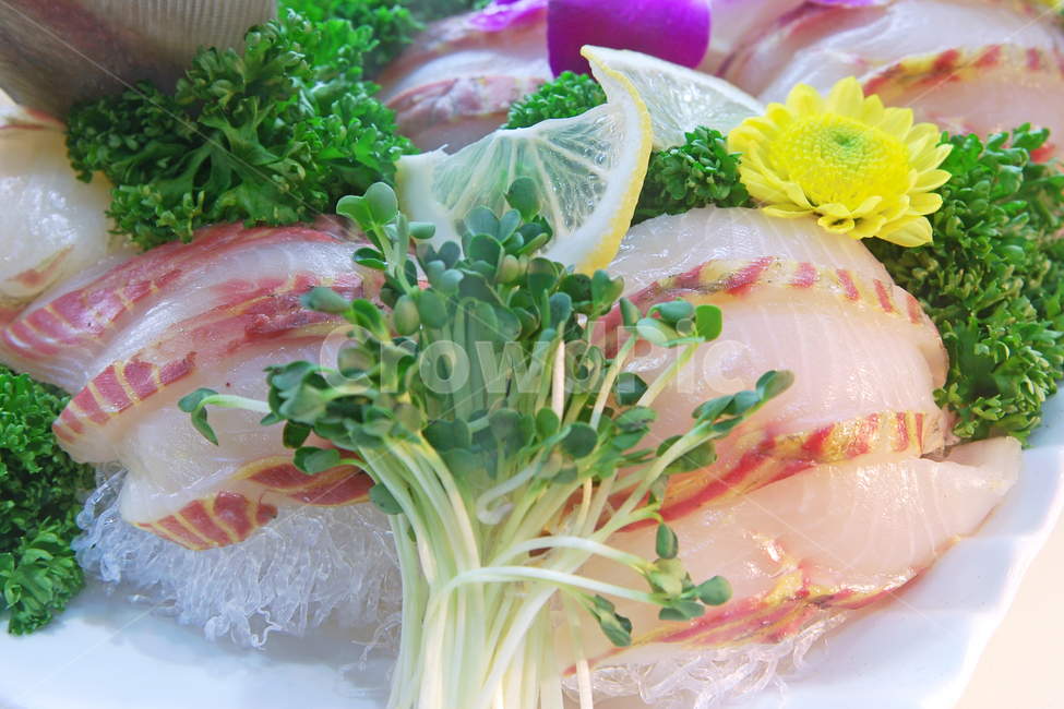 도미회,생선회,회,생선,일식,음식,요리,신선한,해산물,수산물,해물,음식,식재료,요리,food,cook,meal,dishes,food reserves,수산물,해산물,fishery products,seafood