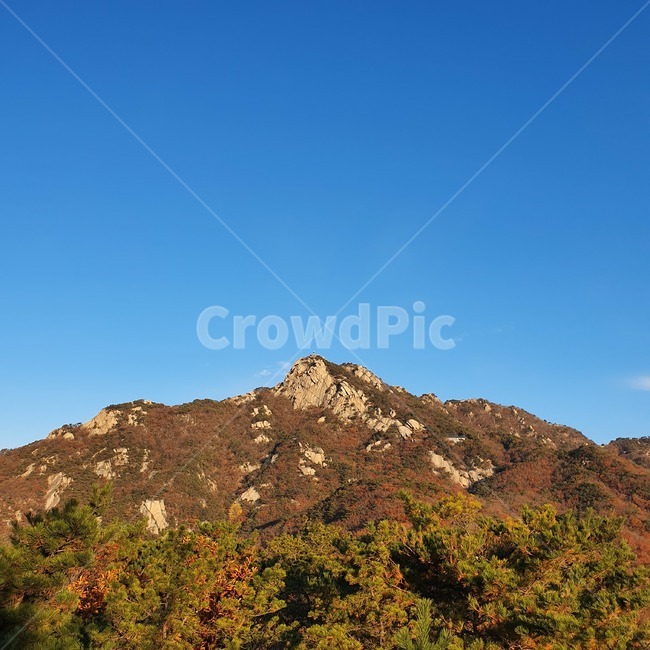 nature,자연,mountain,산,outdoors,옥외,가을,landscape,정상,꼭대기,북한산,감성사진,배경,background,숲,단풍,tree,자연풍경,풍경,colorful,봉우리,하늘,깔끔한,가을산,가을풍경,나무,잎,초록,갈색,가을배경,국립공원,koreanmountain,leaf,nationalpark