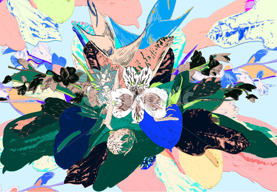 flower,design,액자,flame,drawing,그래픽,일러스트레이션,graphic,illustration