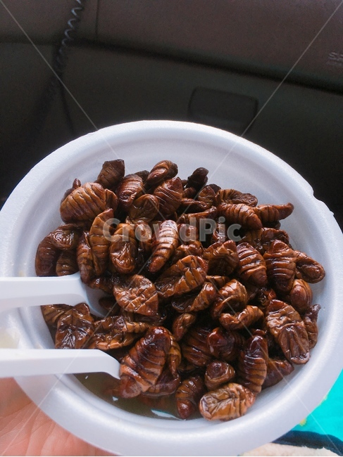번데기,맛있는,독특한,별미,음식