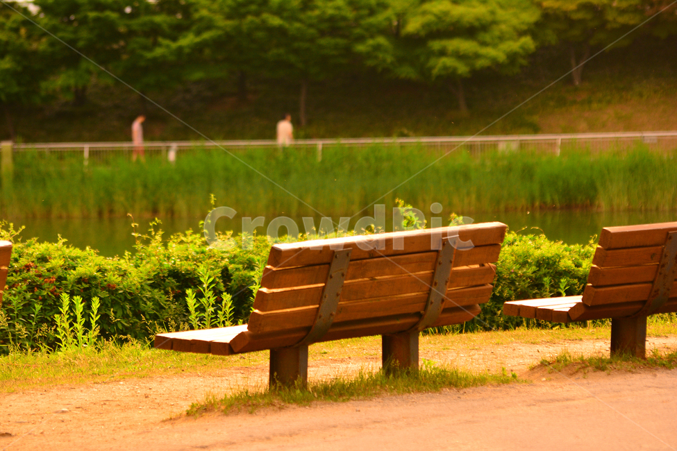 벤치,의자,나무의자,쉼터,휴식,빈자리,relaxation,rest,쉼,쉬어가는곳,힐링,여유,명상,산책,bench,leisure,sit,chair,풍경,앉다,자리,편안한,늦은오후,노을,호숫가,healing,휴식,힐링,rest,relaxation,healing