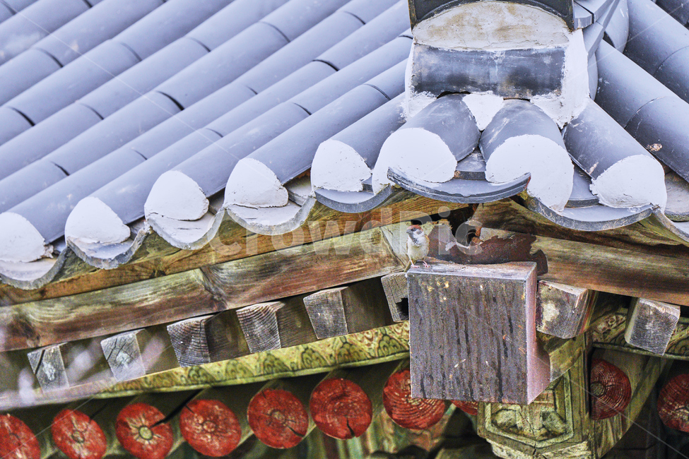 불교,사찰,템플,절,종교,기와,한국전통,봉은사,한국전통,한국문화,korean traditional,korean culture,건축물,건물외관,exterior,building,structure,architecture,construction