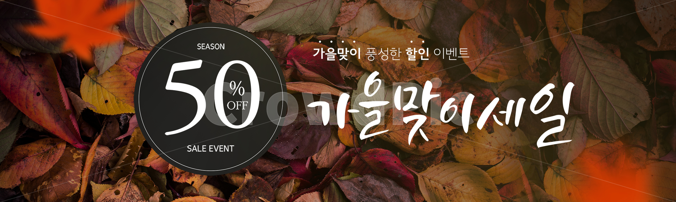 캘리그라피,가을,배너,이벤트,팝업,행사,할인,입추,시즌,계절,가을맞이,배경,백그라운드,캘리,캘리그래피,단풍,낙엽,가을,계절,fall,autumn,season,축제,행사,festival,carnival,event,쇼핑,shopping,그래픽,일러스트레이션,graphic,illustration,캘리그라피,손글씨,calligraphy,leaf,잎,plant,식물