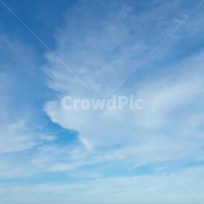 하늘,구름,맑음,cloud,sky