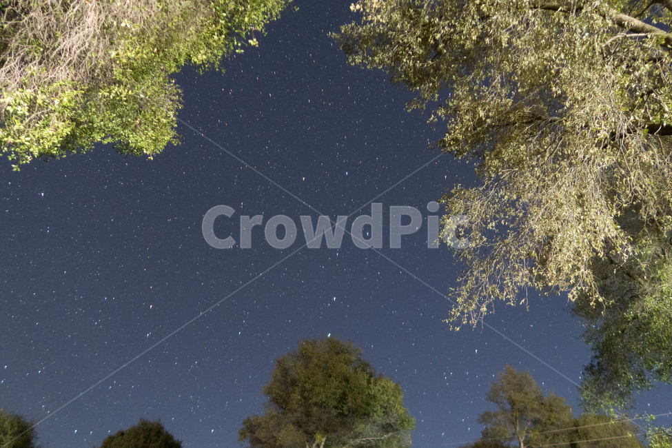nature,자연,outdoors,옥외,별,야경,야경,밤,풍경,nightscape,night,landscape