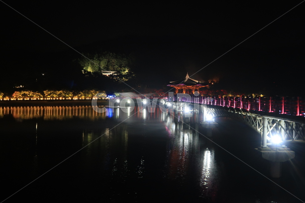 물,다리,분수,월영교,야경,야경,밤,풍경,nightscape,night,landscape