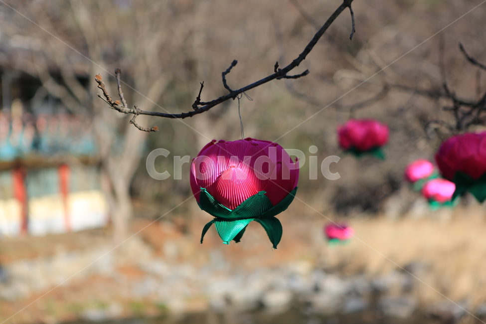 돌탑,사찰,소원,연등,불교,석가탄신일,초파일,종교,신앙,religion,belief,faith,축제,행사,festival,carnival,event