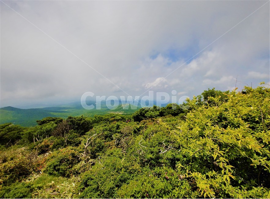 한라산,제주도,풍경,경치,자연,한국,korea,hiking,자연,풍경,nature,landscape,한국자연풍경,한국자연경관,korea nature landscape,제주도,jeju,jeju island,outdoors,옥외