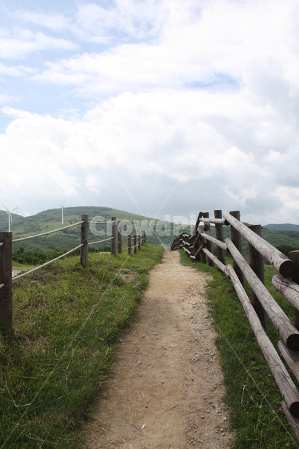 자연,대관령,강원도,하늘,구름,자연,풍경,nature,landscape,outdoors,옥외