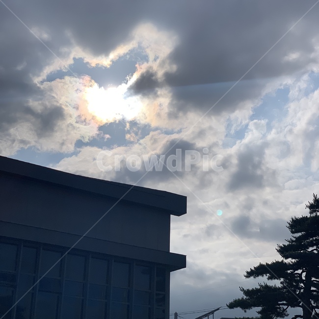 하늘,건물,구름,나무,해,sky,cloud,tree,sun