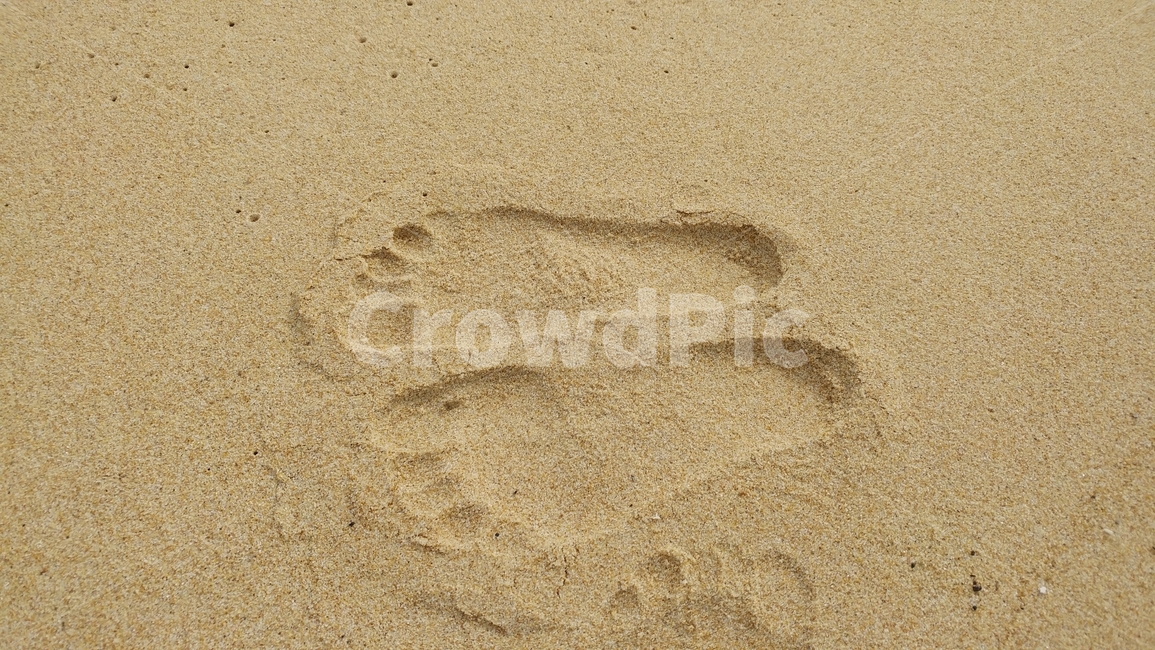 모래사장,발자국,발가락,맨발,sandy,beach,footprint,해변,바다,beach,sea