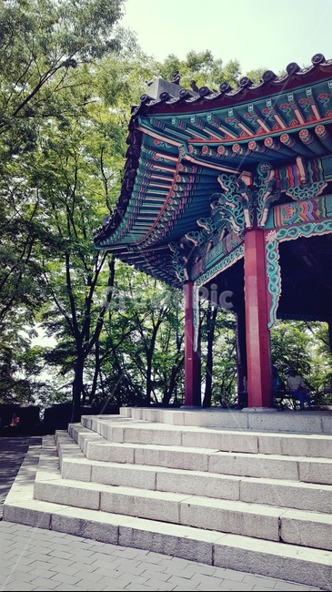 팔각정,남산,절,건물,자연,building