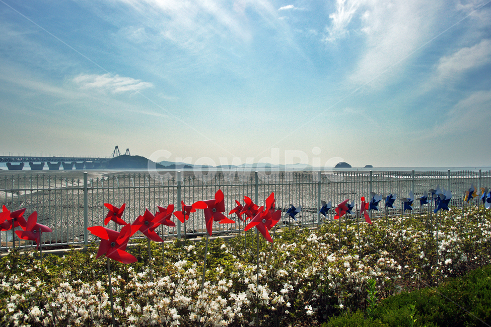 정서진,영종대교,인천,갯뻘,뻘,진흙,서해,자연,풍경,nature,landscape