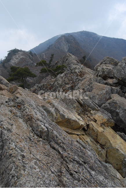 신불산,홍류폭포,간월재,등산로,능선,치유,여행,돌,산행,힐링,자연,동행,등산,계절,한국,한국명산,한국등산,풍경,나무,하늘,바람,땅,자연,풍경,nature,landscape,한국자연풍경,한국자연경관,korea nature landscape,slope,경사