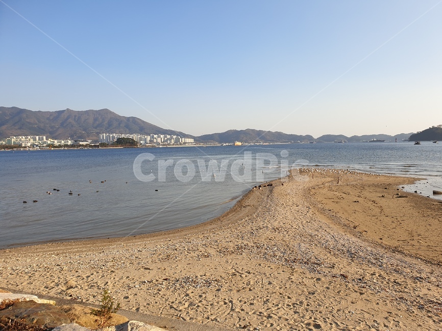 바다,갈매기,오후,겨울바다,햇볕,흙,옥외,outdoors,자연,nature,겨울새,seamew,scenery
