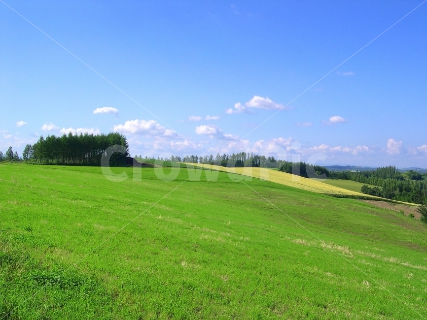 sky,Field,background image,Hill,nature,background,sight,Back Ground,grassland