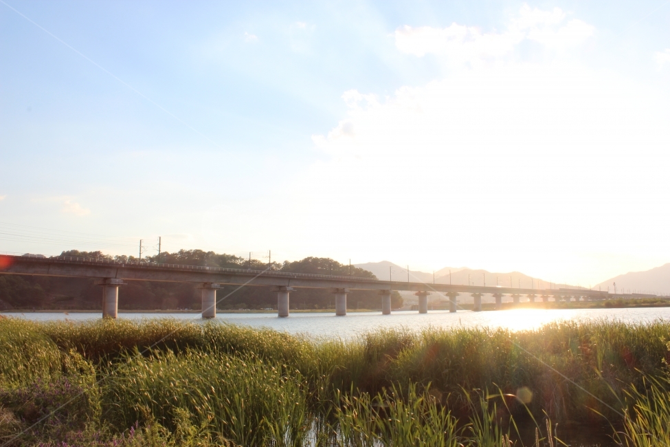 일출,다리,반사,맑음,하늘,자연,풍경,nature,landscape,한국자연풍경,한국자연경관,korea nature landscape,휴식,힐링,rest,relaxation,healing,grass,잔디,plant,식물
