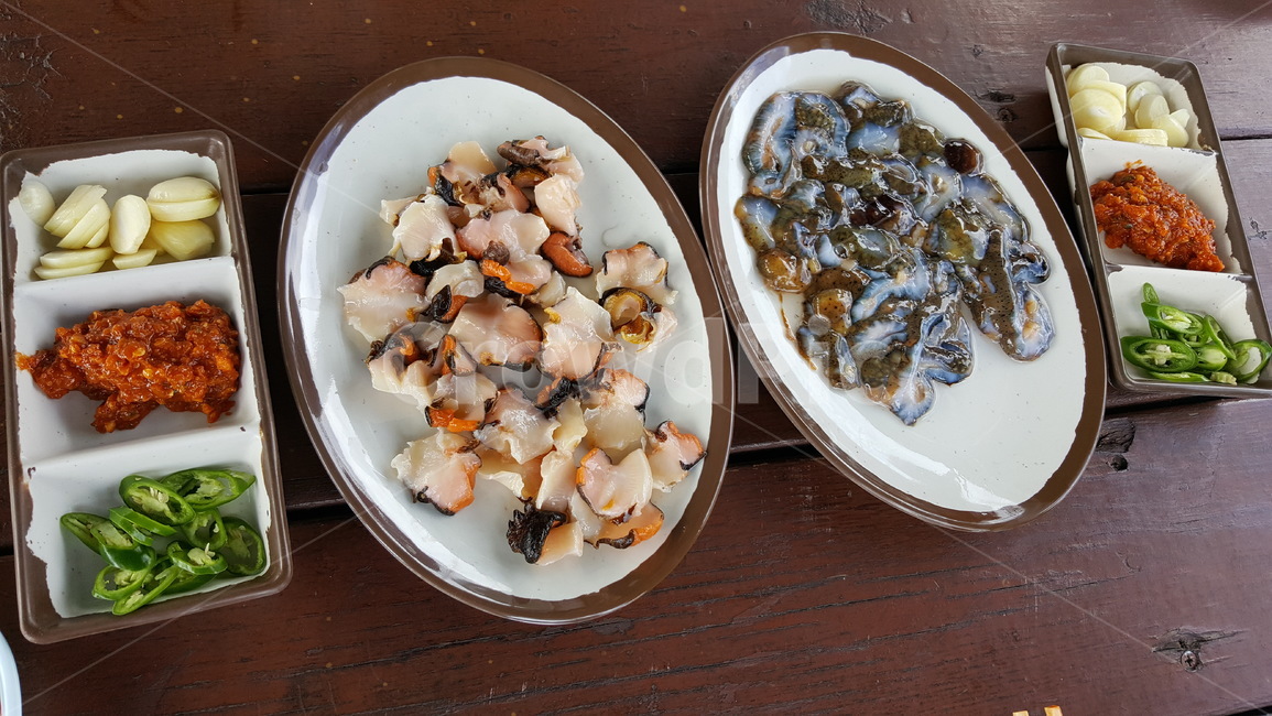 해삼,해산물,회,바다의맛,싱싱한
