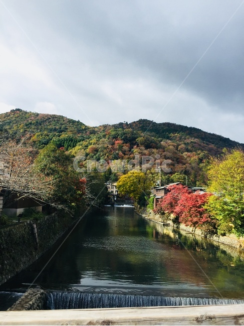 아라시야마,교토아라시야마,교토가을,교토,교토대나무숲,자연,풍경,nature,landscape,해외,외국,세계,foreign,oversea,world,세계자연풍경,해외자연풍경,외국자연풍경,world nature landscape,outdoors,옥외,water,물