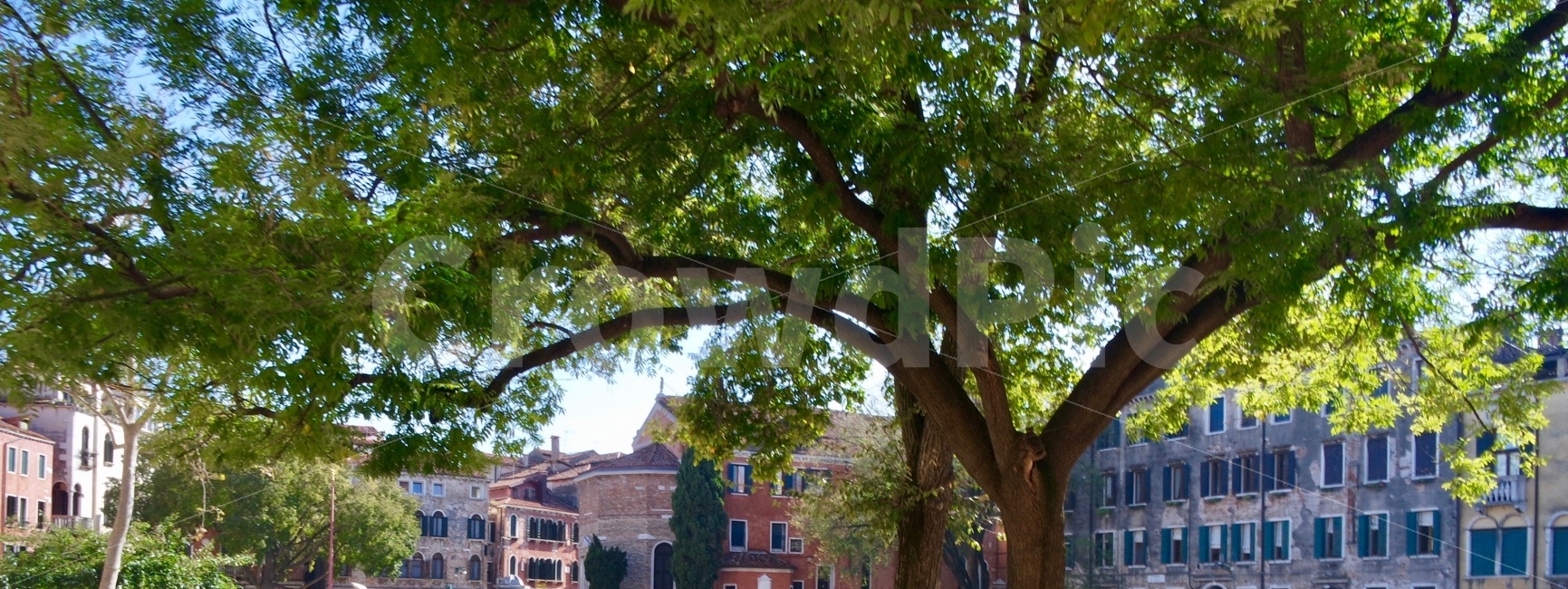 휴식,나무,나무그늘,큰나무,그늘,자연,초록색,resting,tree,treeshadow,bigtree,shadow,nature,green,도시,풍경,city,landscape,해외,외국,세계,foreign,oversea,world,세계도시풍경,해외도시풍경,외국도시풍경,world cityscape,식물,자연,plants,nature,나무,trees,wood,plant,tree trunk,나무 줄기