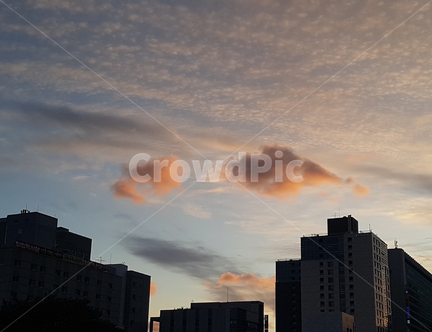 cloud,sky,구름,하늘,핑크빛