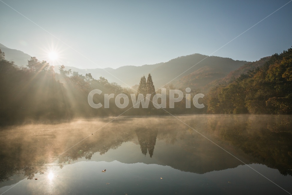 빛내림,가을,단풍,낙엽,일출,햇살,가을,계절,fall,autumn,season,자연,풍경,nature,landscape,한국자연풍경,한국자연경관,korea nature landscape,flare,플레어,light,빛,weather,날씨,outdoors,옥외