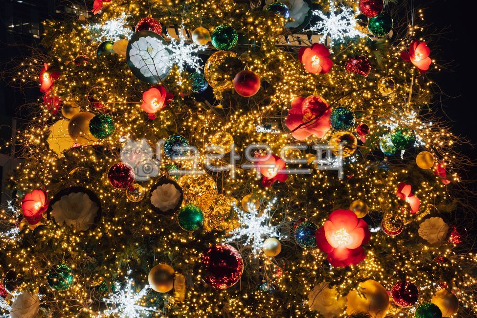 Christmas,christmas tree,tree,Anniversary,winter,christmas,Yearend,congrats,light,season,decoration,Merry Christmas